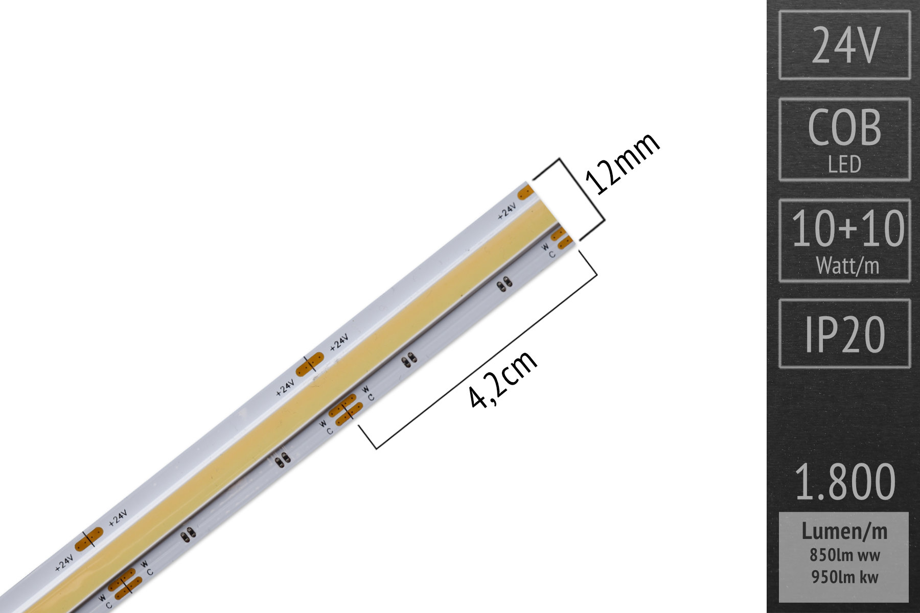 Novelty: COB LED strips with adjustable color temperature (CCT): 24 volts - CRI>90