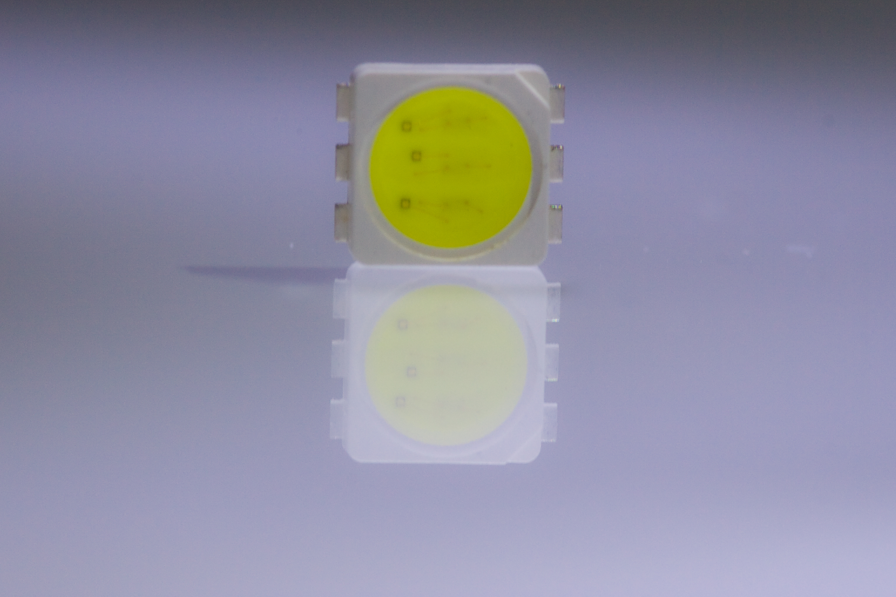 Standard LED kaltweiß PLCC6-Gehäuse