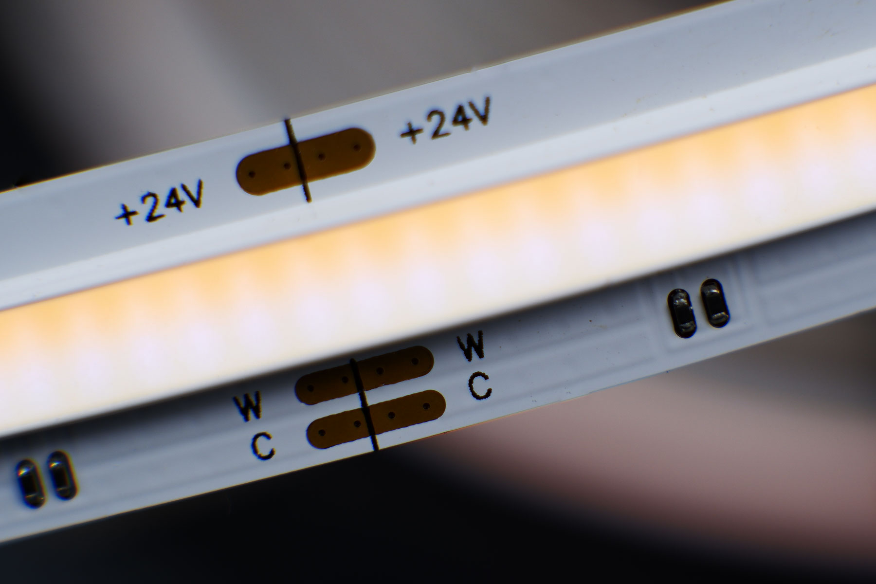 Novelty: COB LED strips with adjustable color temperature (CCT): 24 volts - CRI>90