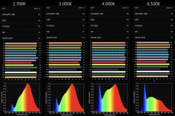 Einstellbare Farbtemperatur (CCT): 24V - Superhell! - 480 LEDs/m - 1.600 + 1.700lm/m