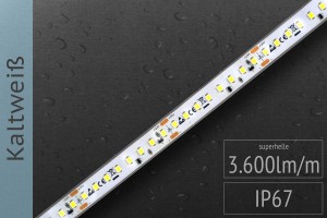 LED-Streifen 2835 - KW 6000K - 4.000lm/m - 24V - IP67